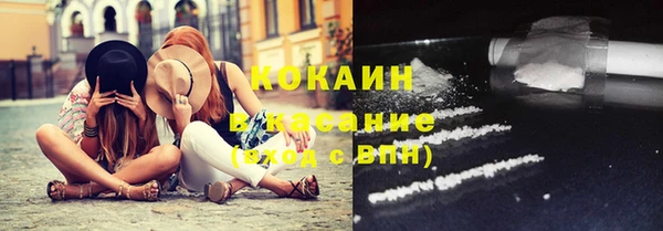 кокс Арсеньев