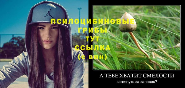 mix Богданович
