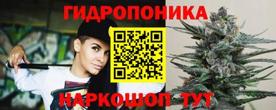 стафф Новодвинск