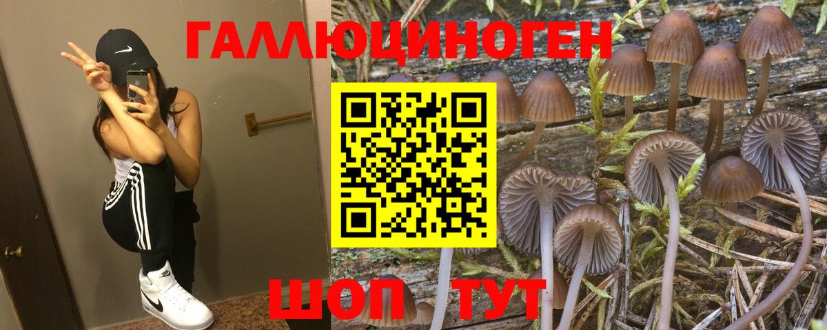 Галлюциногенные грибы Cubensis  Псилоцибиновые грибы Psilocybe  Черкесск  Вход с VPN 